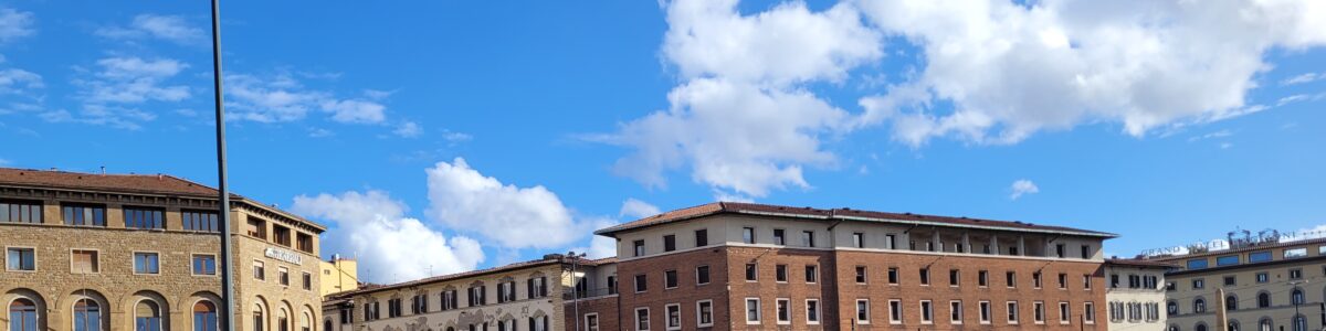 LA RIQUALIFICAZIONE DELL’AREA VERDE DI INGRESSO ALLA STAZIONE DI SANTA MARIA A NOVELLA A FIRENZE