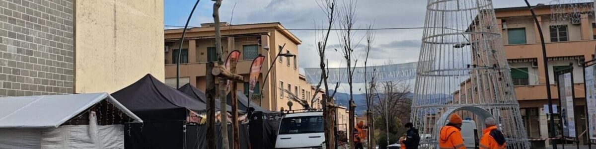 Forestazione urbana a Guidonia Montecelio: un progetto sostenibile del Gruppo AVR