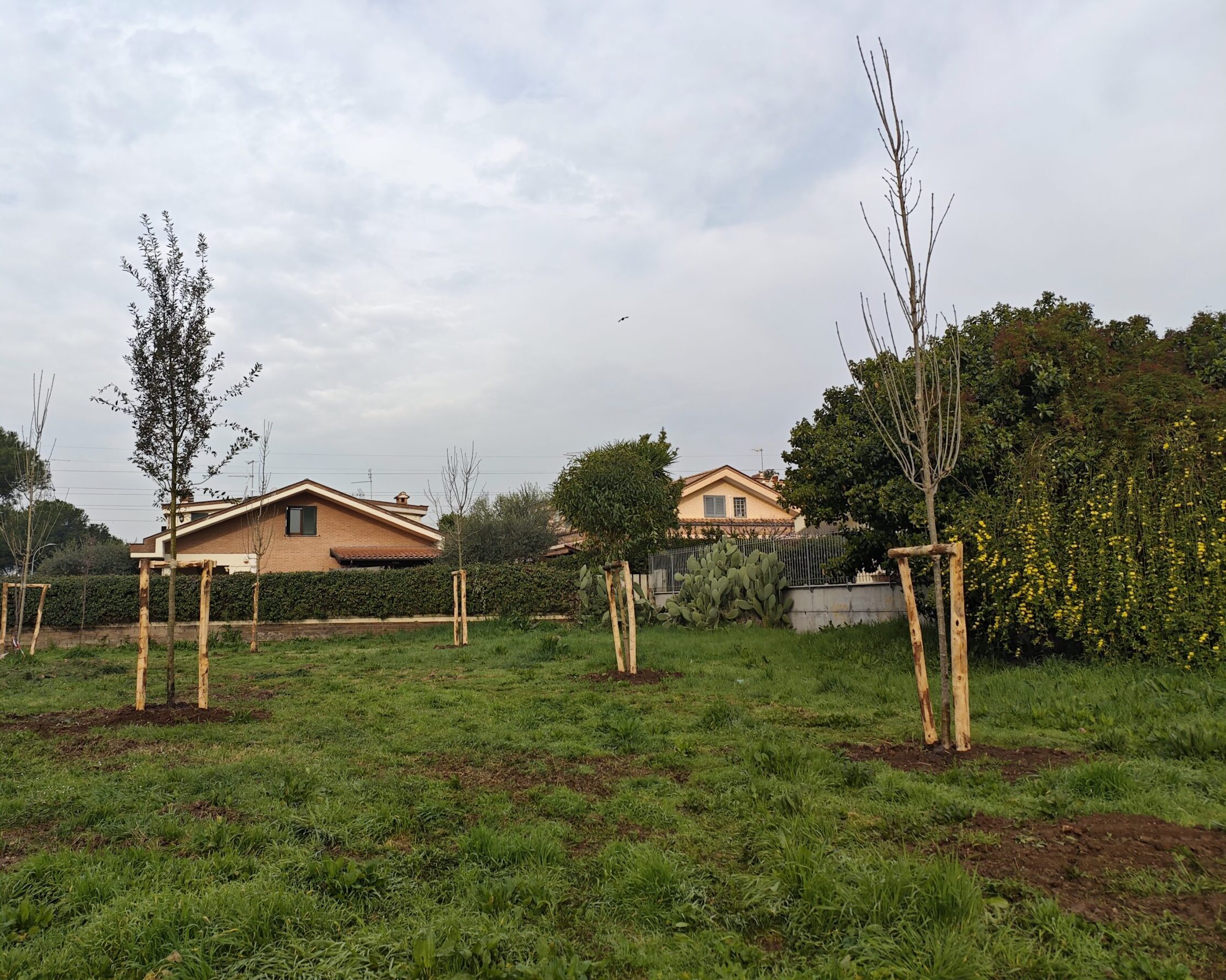 FORESTAZIONE URBANA A GUIDONIA MONTECELIO: PROSEGUE IL PROGETTO SOSTENIBILE DEL GRUPPO AVR